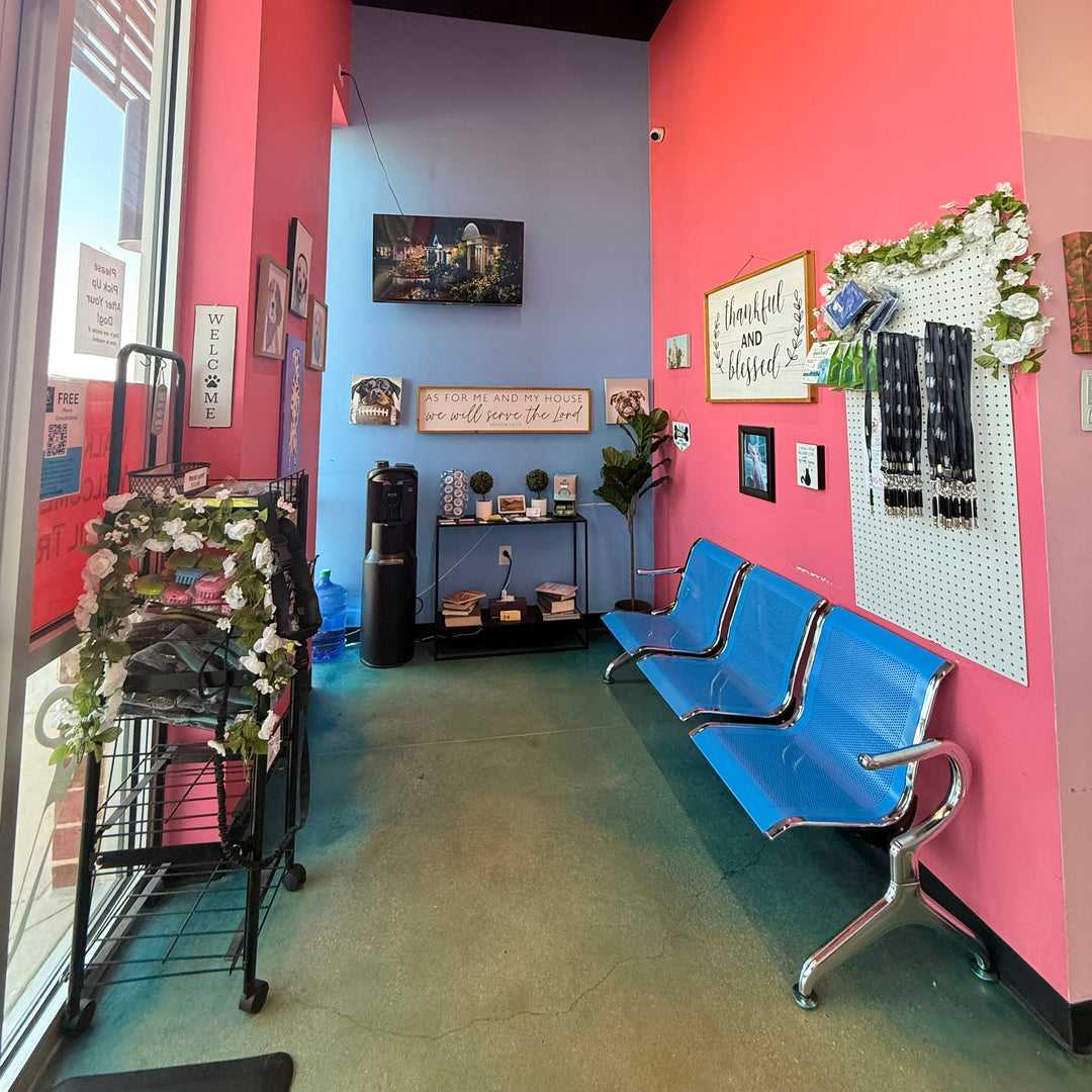 PUP TOWN SALON GROOMING SAN ANTONIO